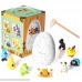 EXERCISE N PLAY Hatchimal Surprise Hatching Egg Set of 8 Wind Up Animals Toys for Kids Birthday Gifts Party Favor Includes Mouse Dog Dinosaur Chick Frog Ladybug Crab Larva Wooden Hammer B07N44R7GL
